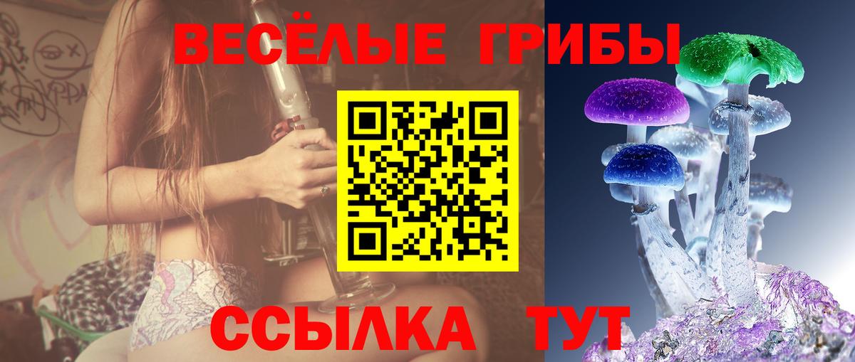 Псилоцибиновые грибы MAGIC MUSHROOMS  Вход с VPN  Тверь  Галлюциногенные грибы Psilocybe 