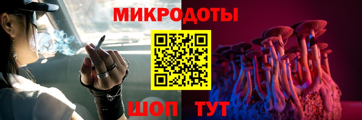 Псилоцибиновые грибы Psilocybe Тверь
